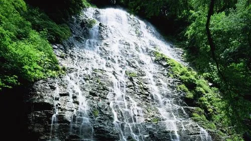 独特高标准高质量
